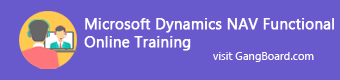 Microsoft Dynamics Nav Functional Training in Chennai