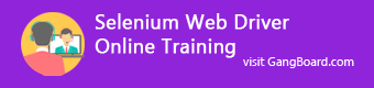 Selenium Web Driver Training in Chennai