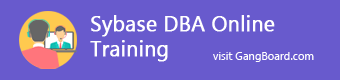 Sybase DBA Training in Chennai